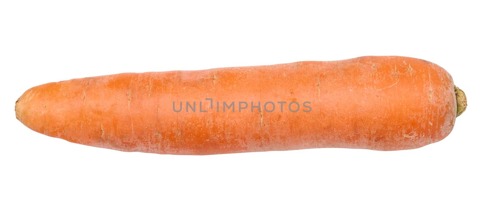 Whole raw carrot on white isolated background by ndanko