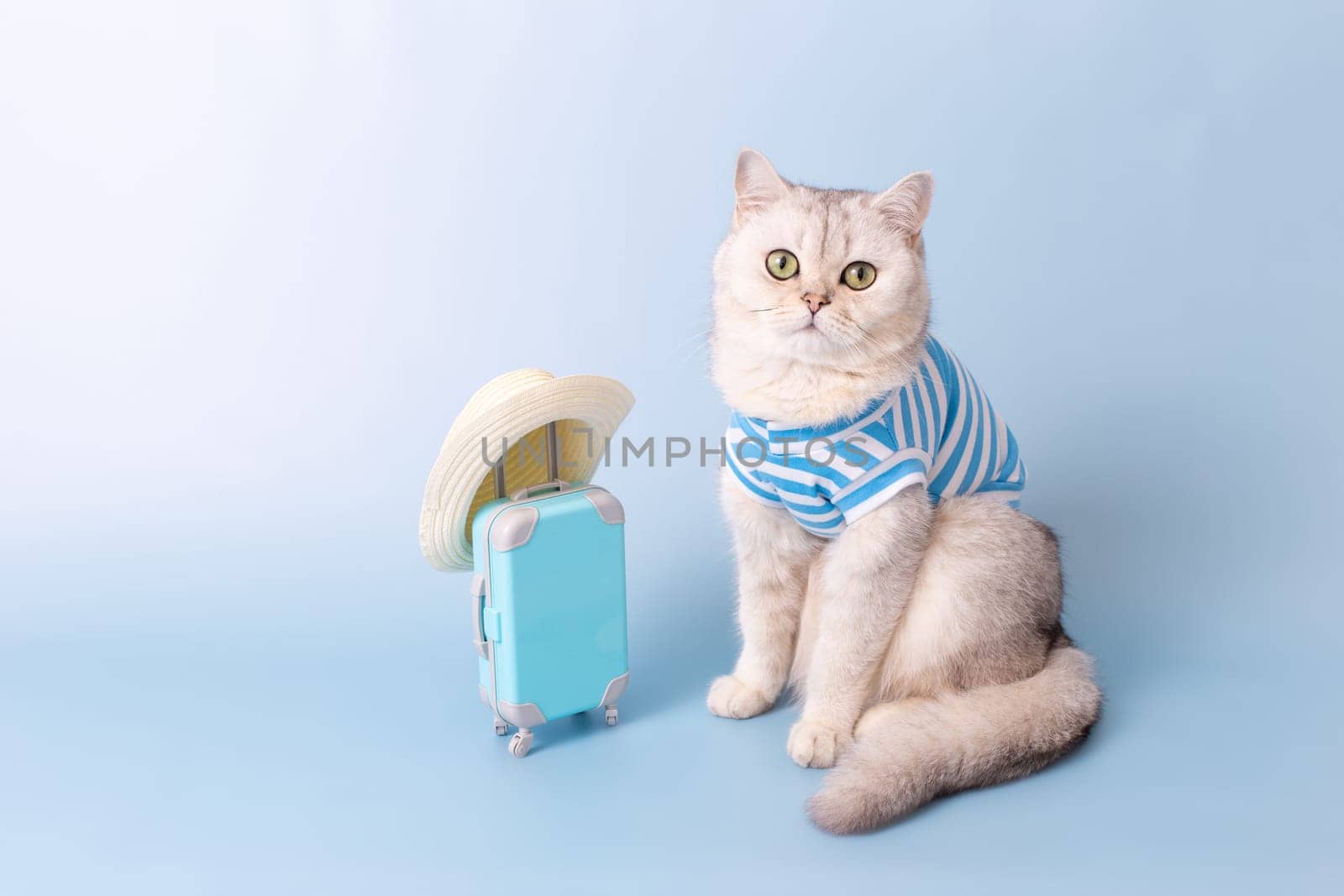 Cute white cat in a blue striped T-shirt, sitting next to a small blue suitcase in a straw hat, on a light blue background, looking at camera. Copy space