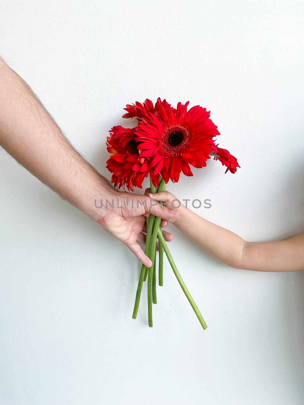 small child gives his father bouquet of flowers on white background. Fathers Day by Lunnica