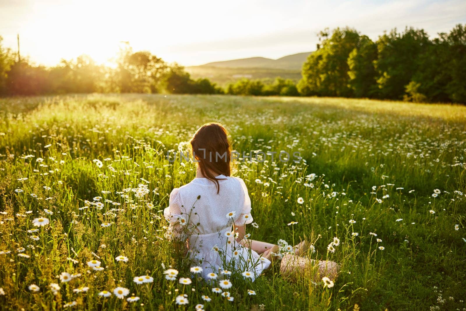a red-haired woman in a light dress sits in a chamomile field at sunset and admires the passing day. High quality photo