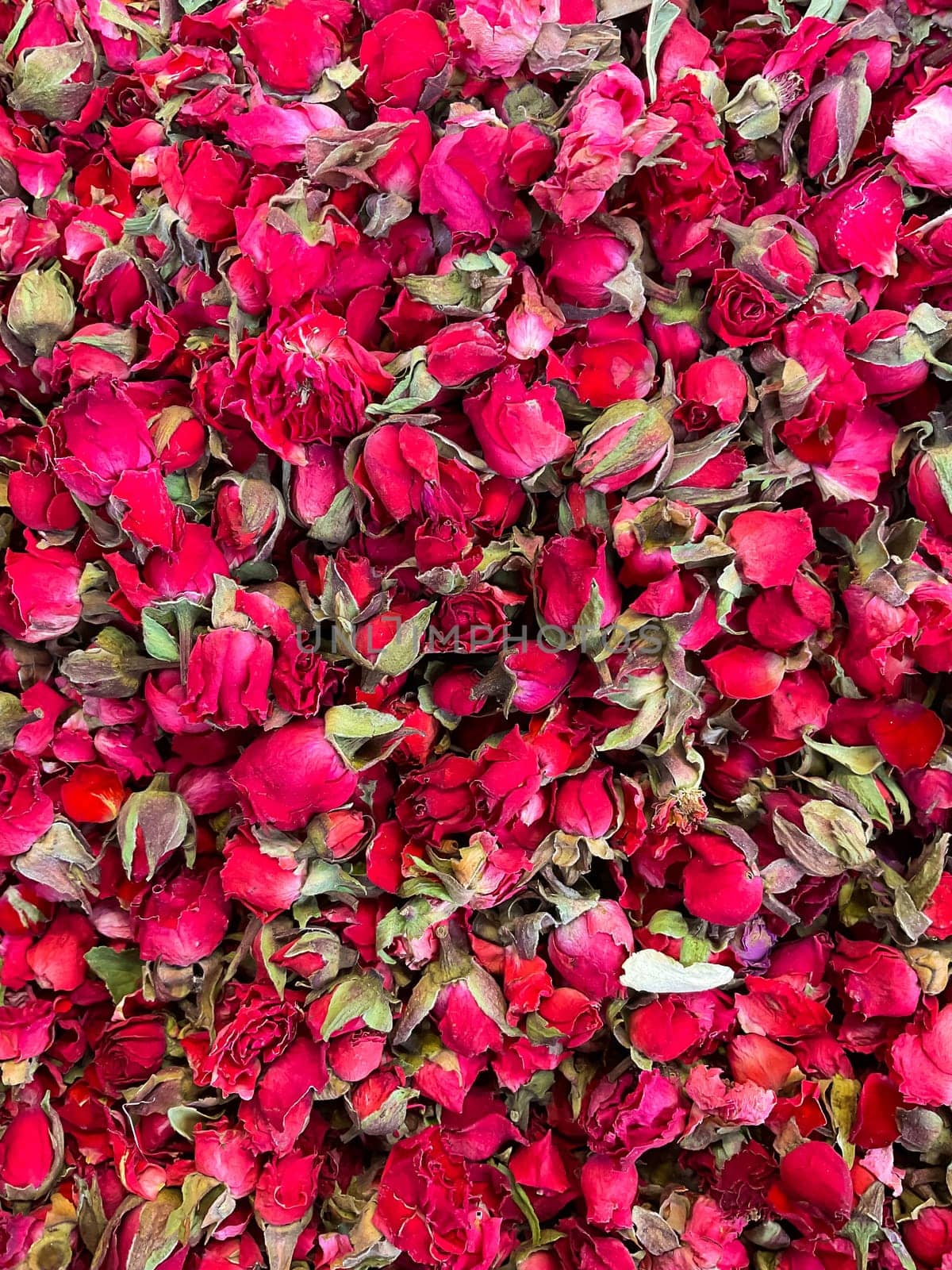 Dried roses as background. Red roses, close-up. by Lunnica