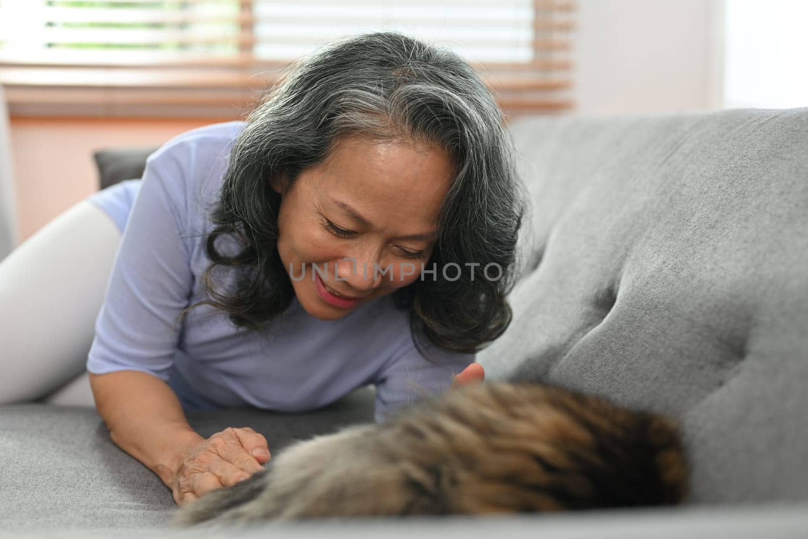 Smiling senior woman relaxing on couch at home and playing with lovely fluffy cat. Love, domestic pet concept by prathanchorruangsak