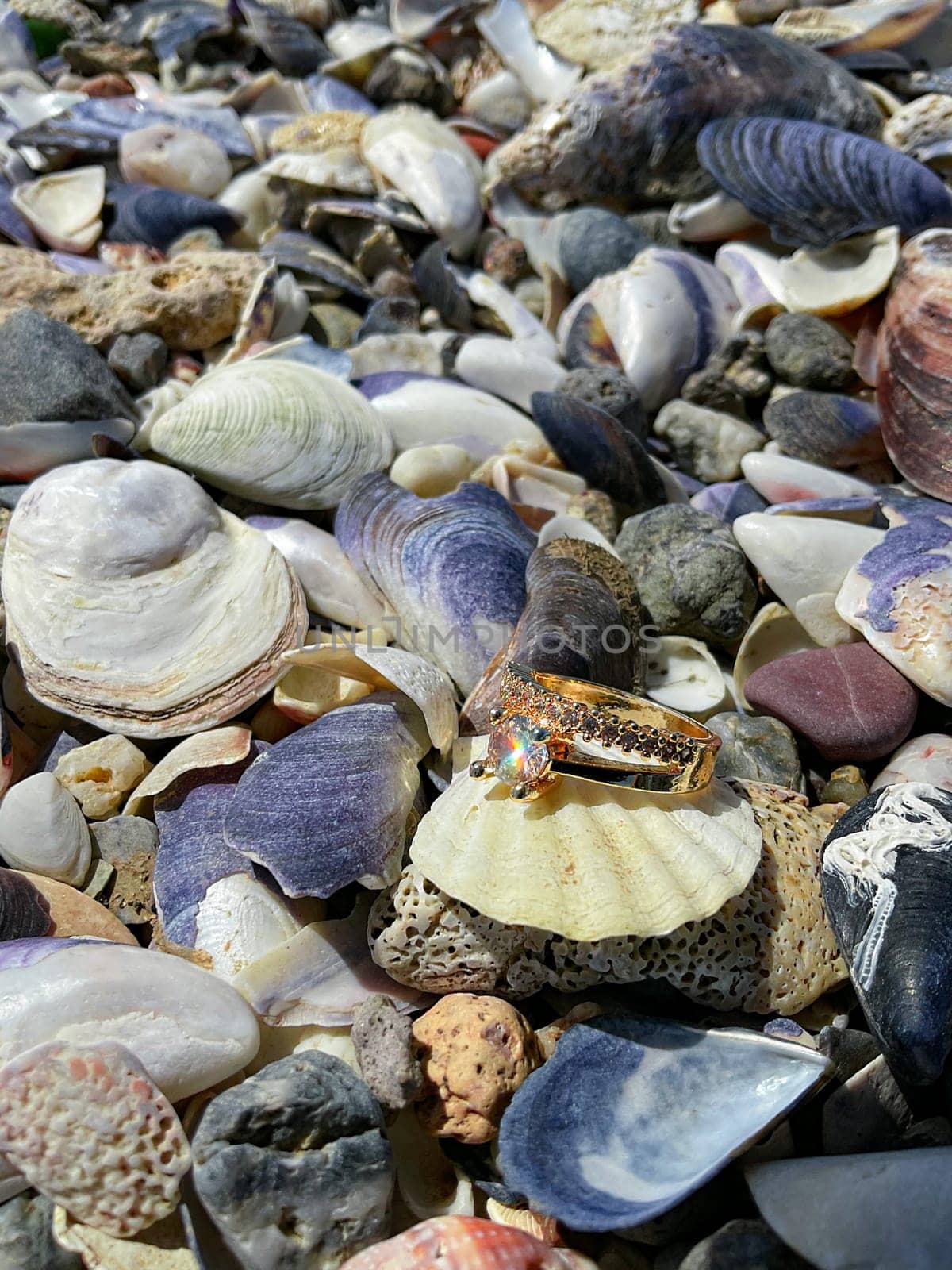 The concept of a wedding. Gold ring on a seashell, nautical wedding, design template with copyspace