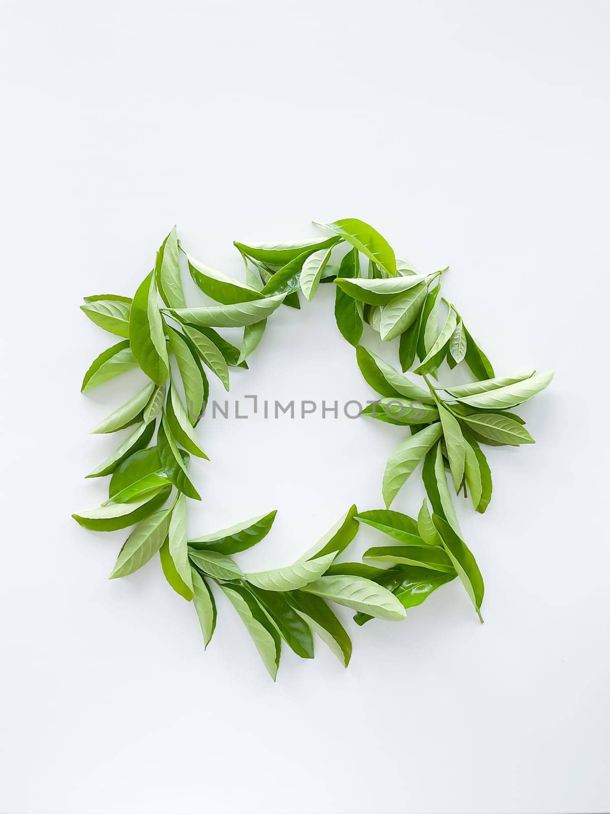 frame workspace with green leaves on white background. lay flat, top view. High quality photo