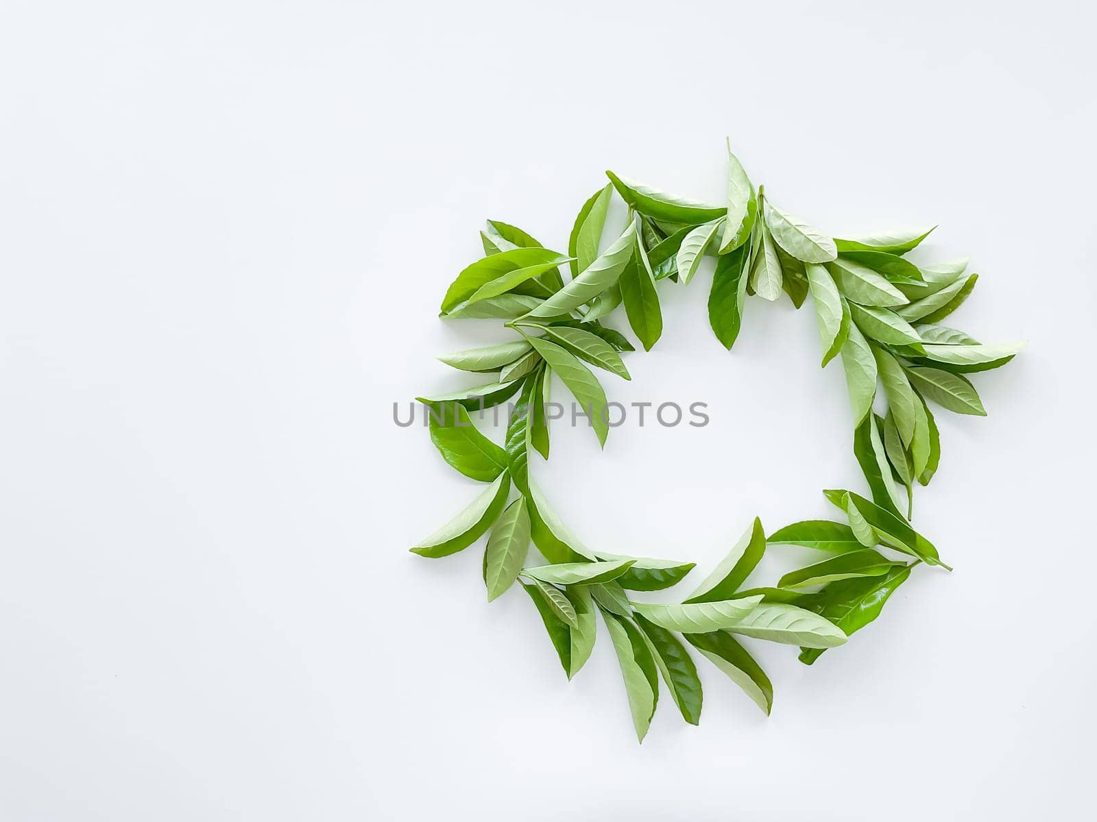 frame workspace with green leaves on white background. lay flat, top view. High quality photo