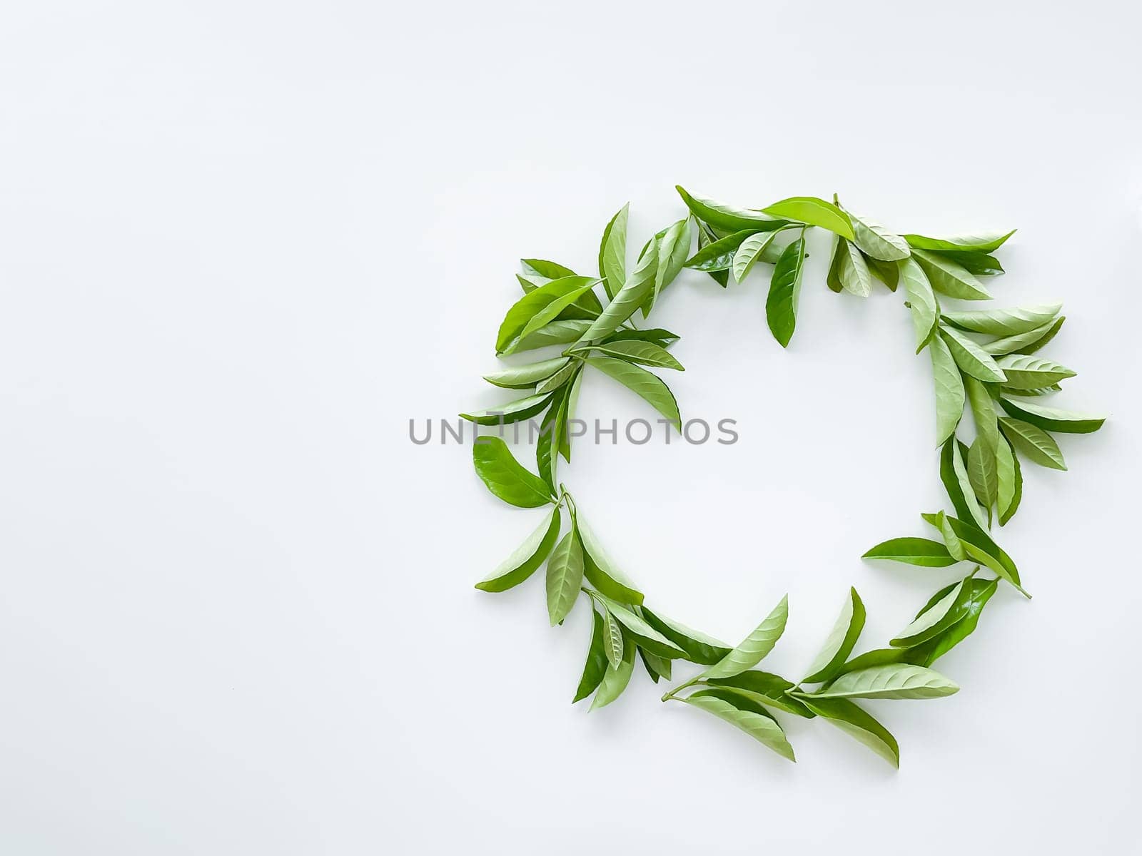 frame workspace with green leaves on white background. lay flat, top view. High quality photo