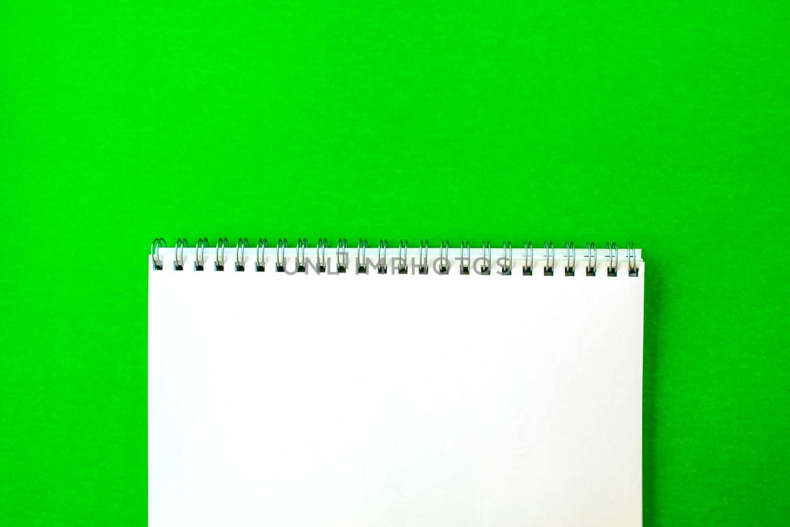 White notepad on a green background. School white notebook with a spring.
