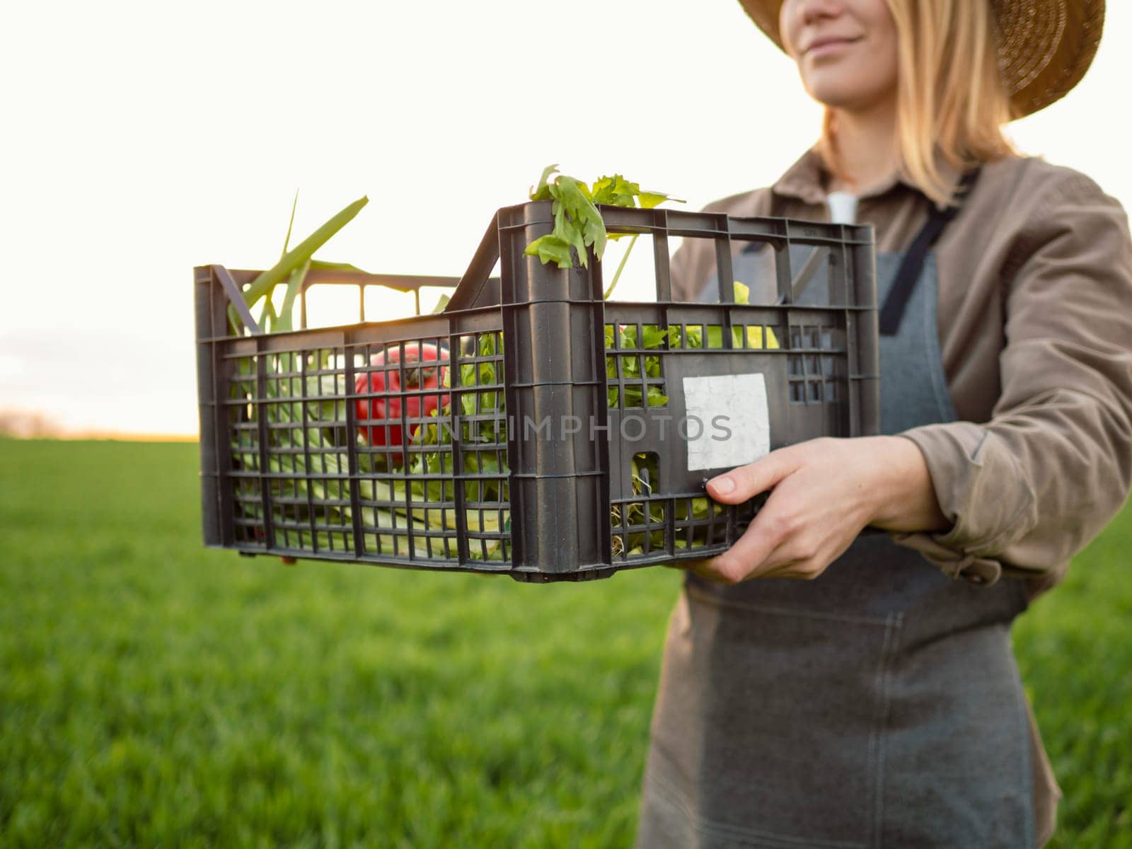 Family business raw rural store grocery. Close up woman carrying basket with organic vegetables in the garden