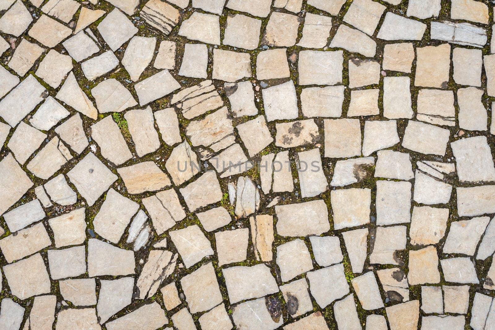 A road paved with stones, a green grass between stones on the sidewalk.