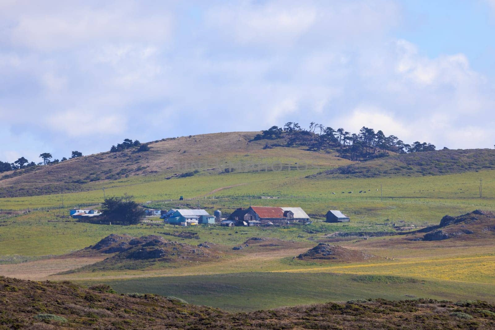 View of homes and barns on small farm in rolling green hills. High quality photo