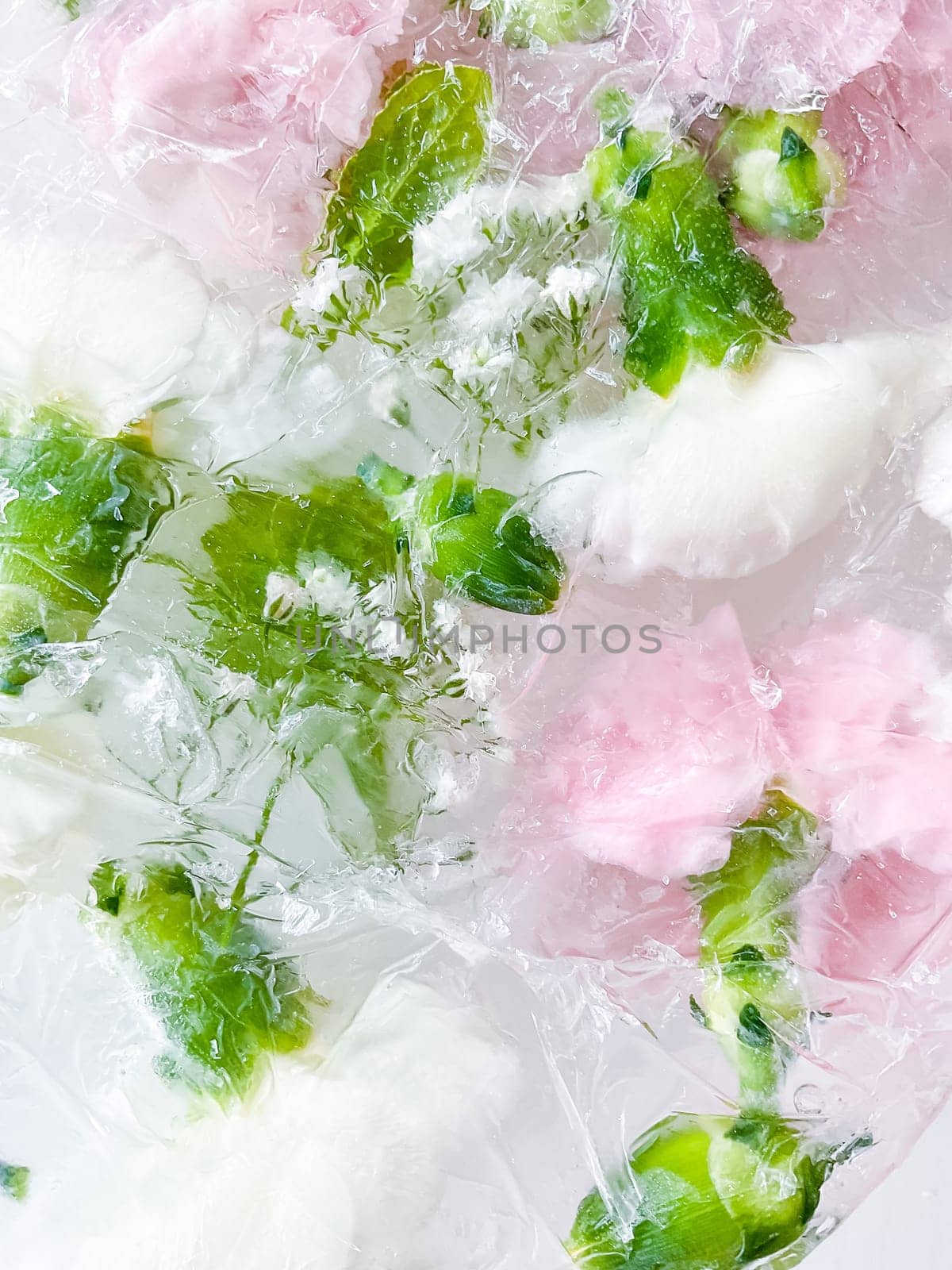 carnation, garden flowers frozen in ice. backgraund by Lunnica