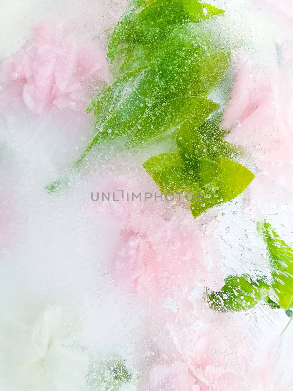 carnation, garden flowers frozen in ice. backgraund by Lunnica