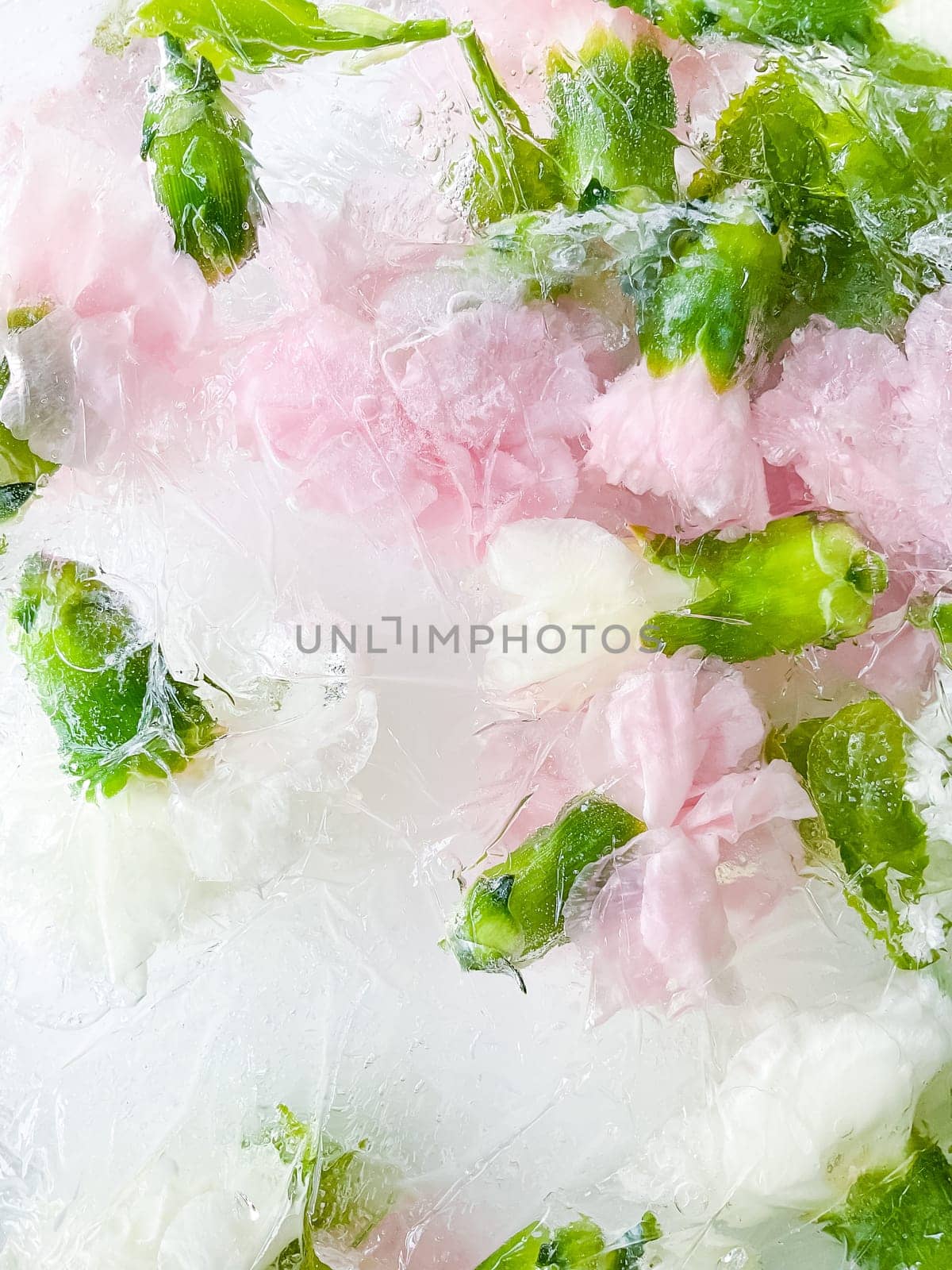 carnation, garden flowers frozen in ice, garden flower, carnation in ice, frozen carnation flower, flowers in ice, pink flower, ice with frozen pink carnation