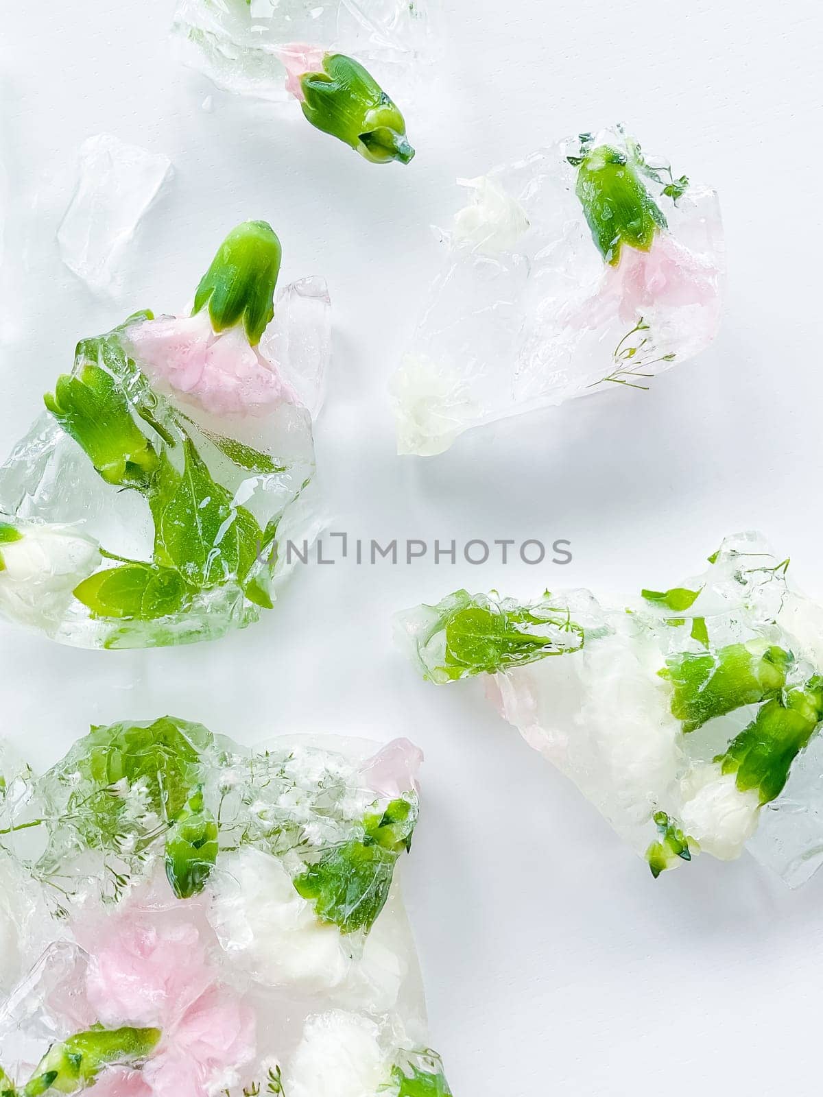 Pink and white carnations with ice pieces leaves lying on a white background. Floral ice cubes. broken ice