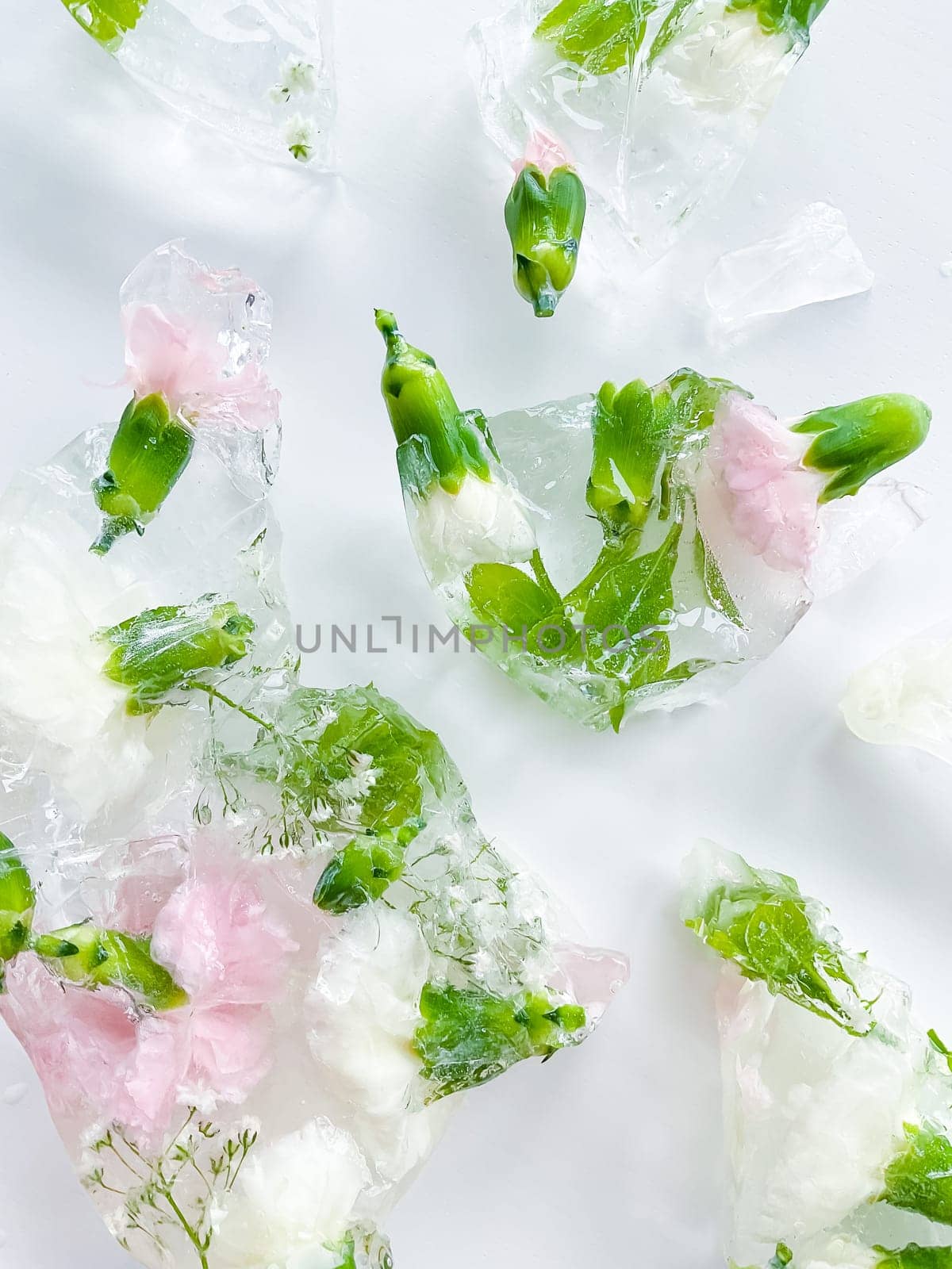 Pink and white carnations with ice pieces leaves lying on a white background. Floral ice cubes. broken ice