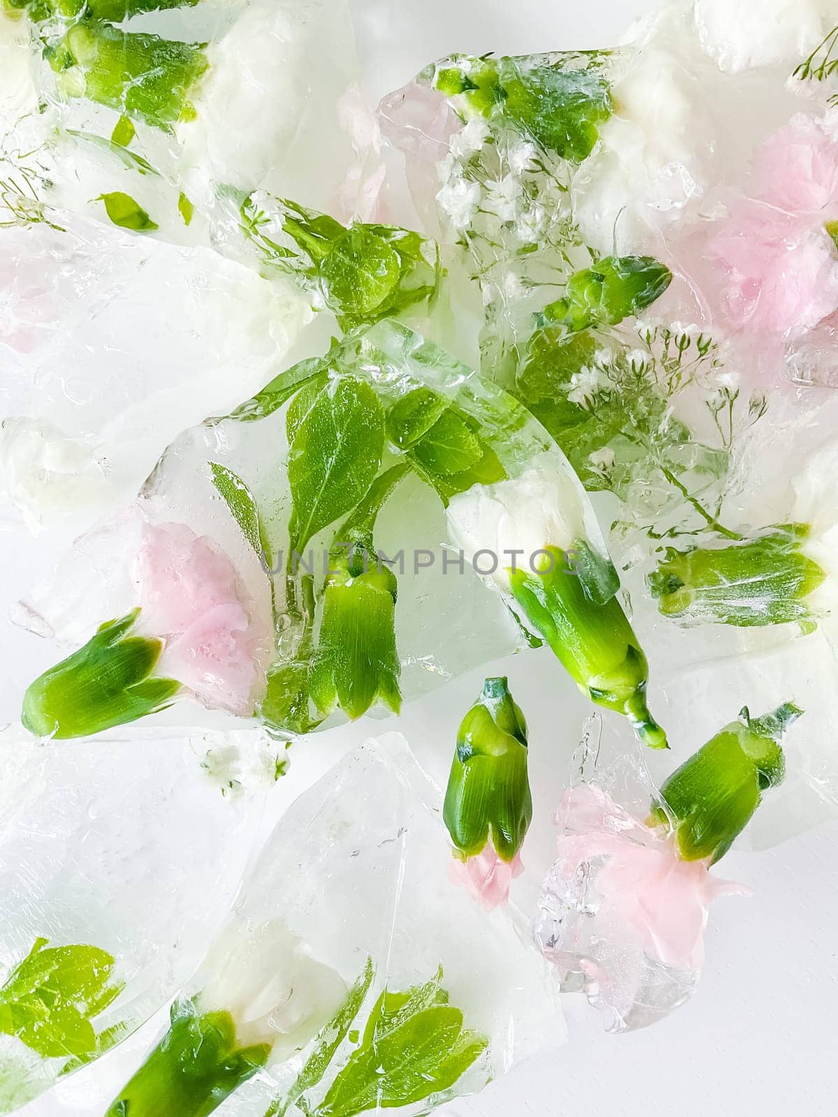 carnation, garden flowers frozen in ice, garden flower, carnation in ice, frozen carnation flower, flowers in ice, pink flower, ice with frozen pink carnation