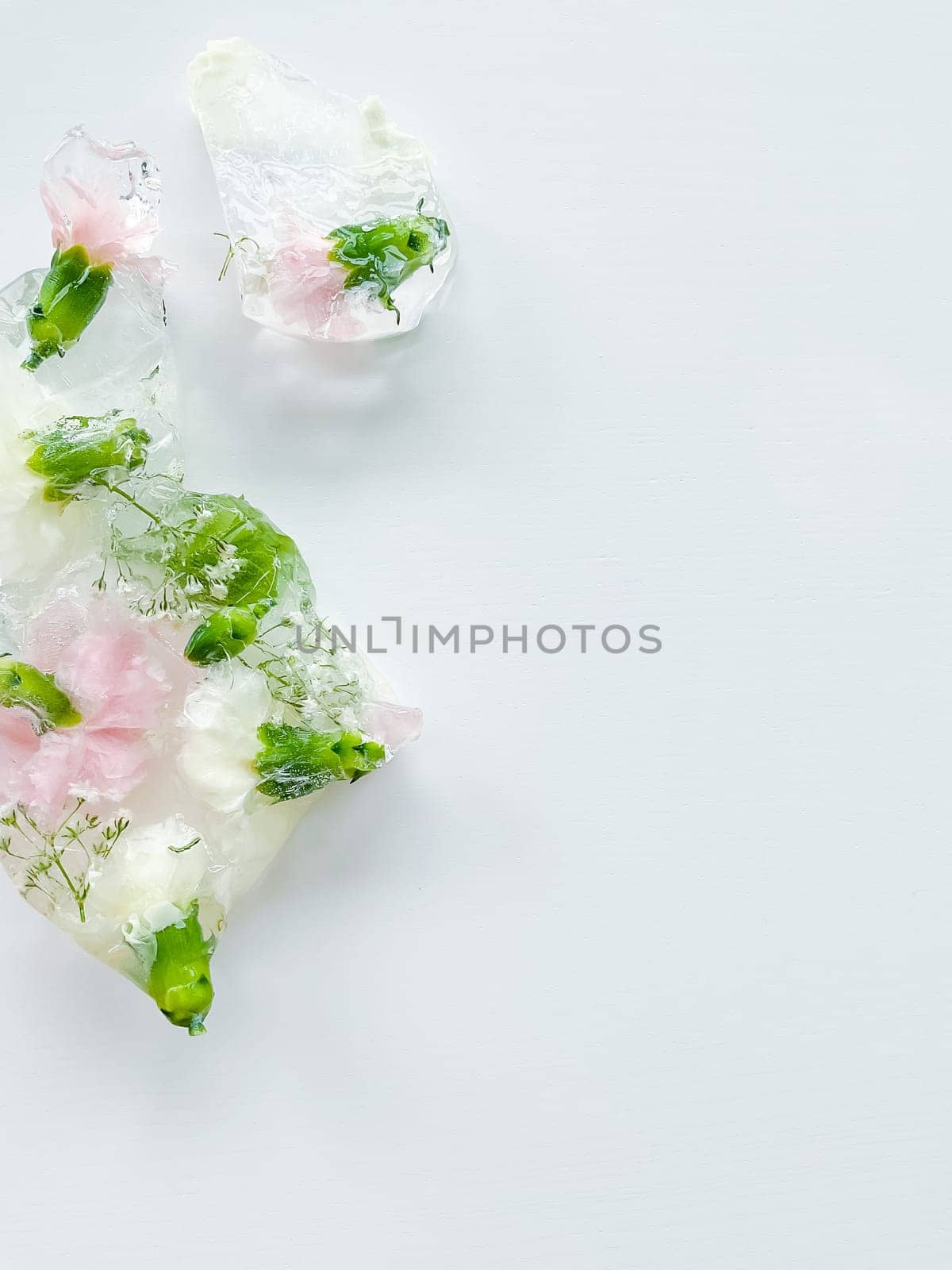 Ice cubes with flowers inside on a white background. Spring symbolism. With empty space for inscription or text.