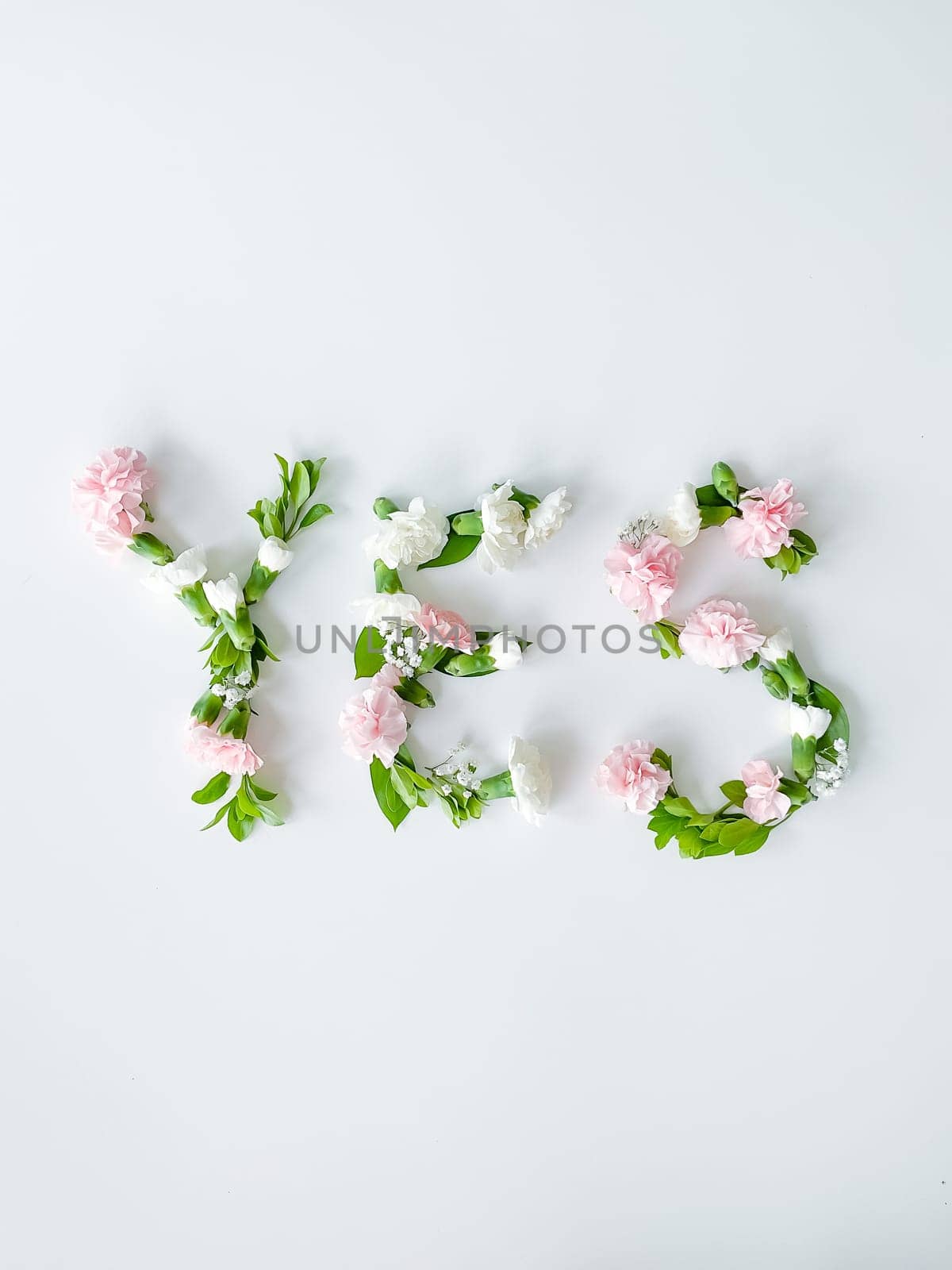 The word "YES" from flowers on a white background. Spring concept. flat lay
