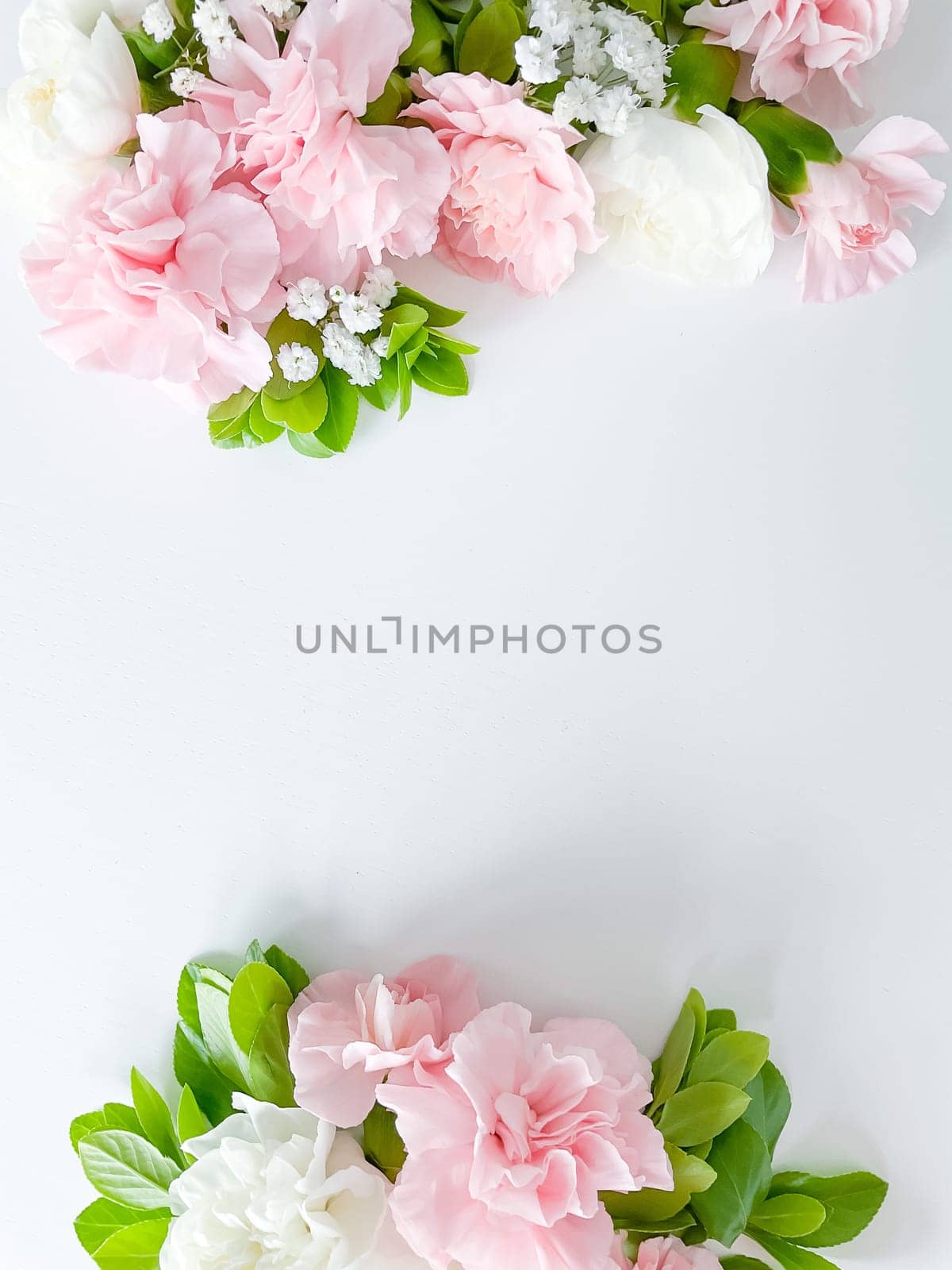 Border frame made of pink and white carnations flower on white background. Flat lay, top view. Flowers frame.