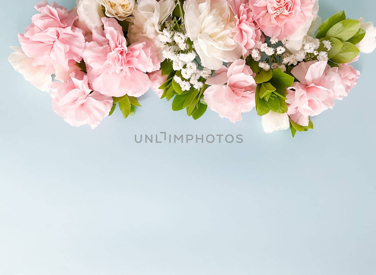 Close up photo of a bouquet of pink and white carnations isolated on a white background. With empty space for text or inscription. For postcard, advertisement or website.