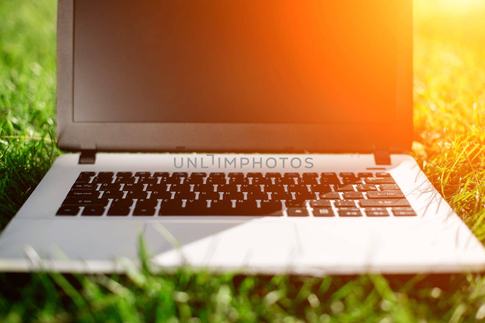 Laptop with blank screen on green lawn. Copy space. Sun flare