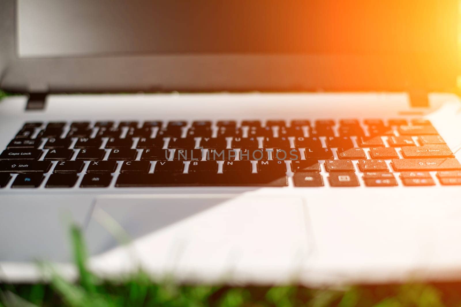 Laptop with blank screen on green lawn. Copy space. Sun flare