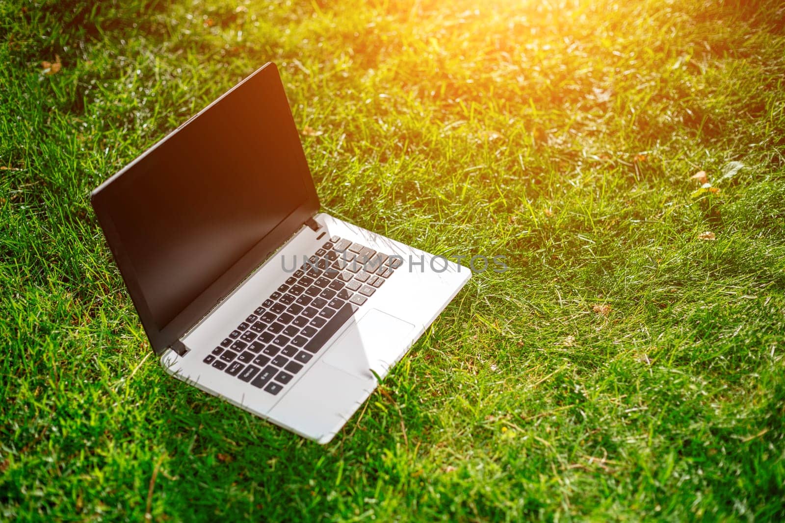 Laptop with blank screen on green lawn. Copy space. Sun flare