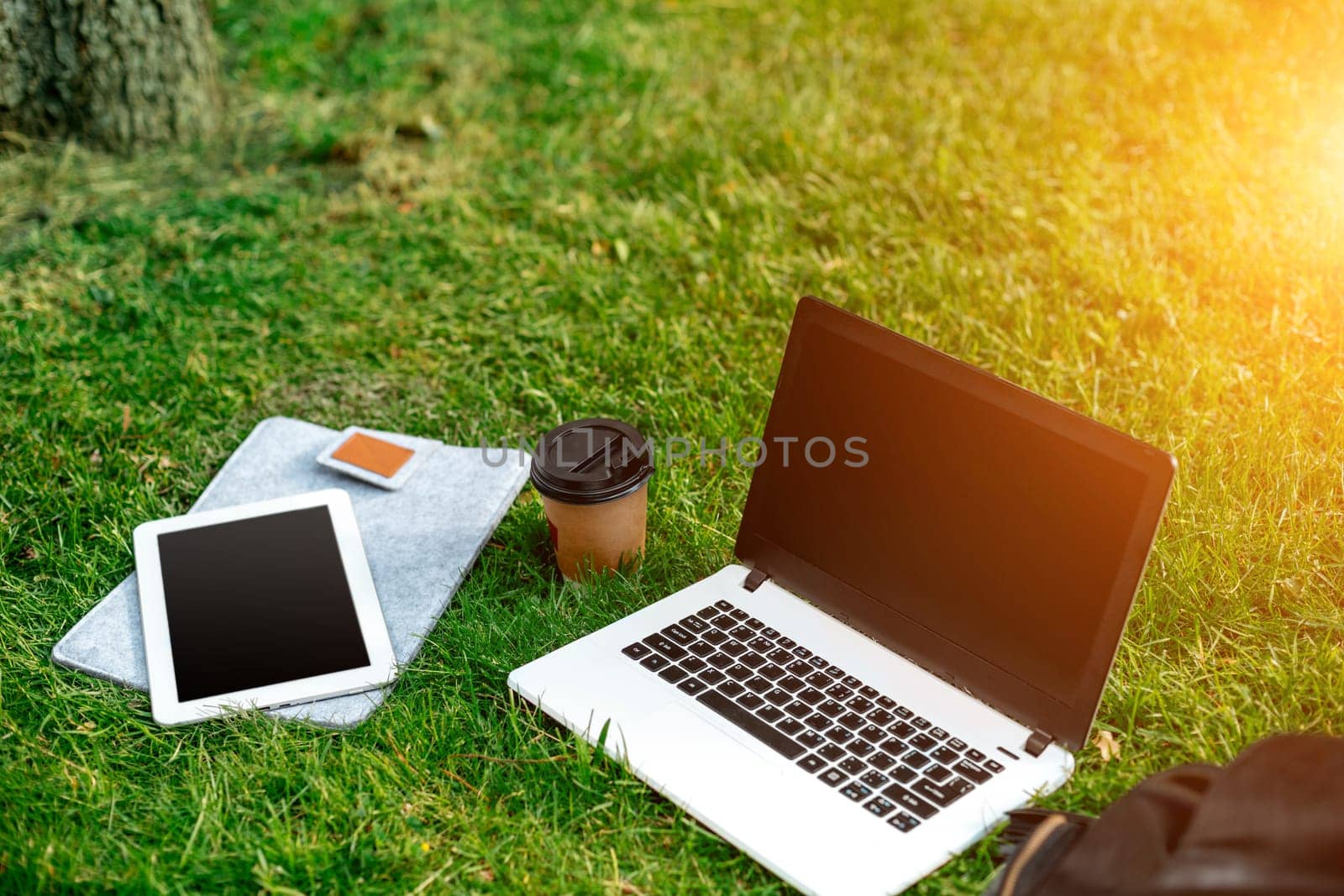 Laptop computer on green grass with coffee cup, bag and tablet in outdoor park. Copy space. Still life. Sun flare