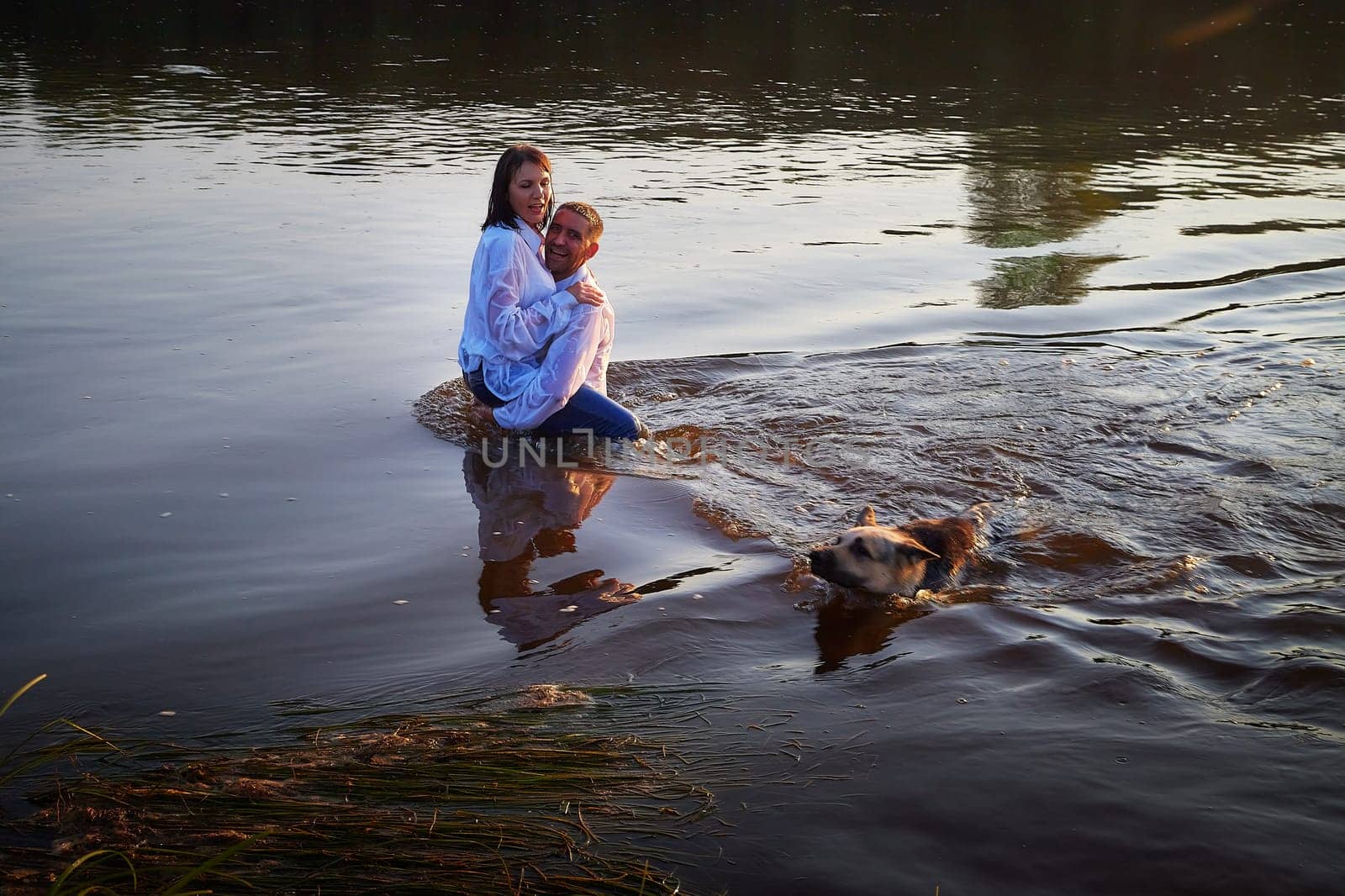 Beautiful adult couple has fun with bug dog shephers in nature in water of river or lake in summer evening at sunset. Guy and girl swim and relax with pet outdoors in clothes in white shirts and jeans by keleny