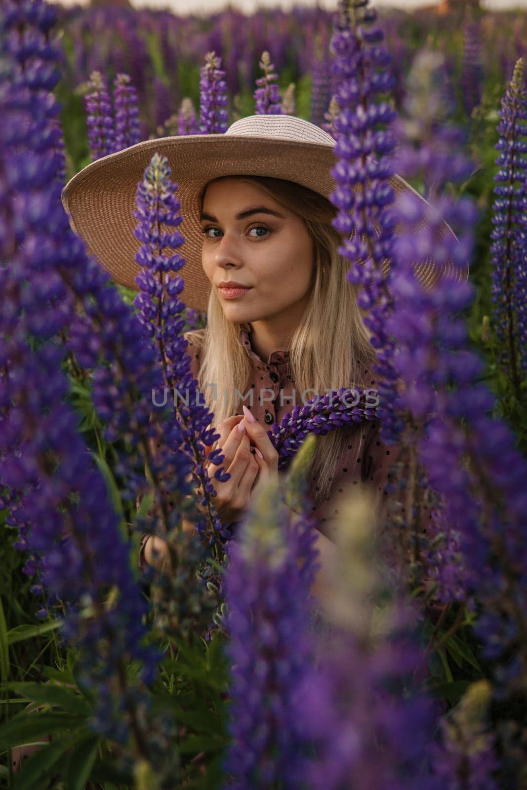 A beautiful woman in a straw hat walks in a field with purple flowers. A walk in nature in the lupin field.