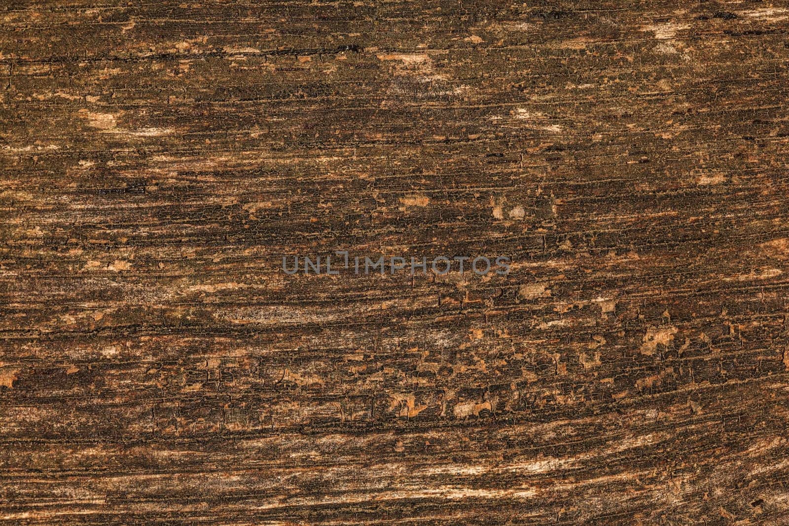 Texture on old wooden bench board lit by sun. Natural vintage wood background.