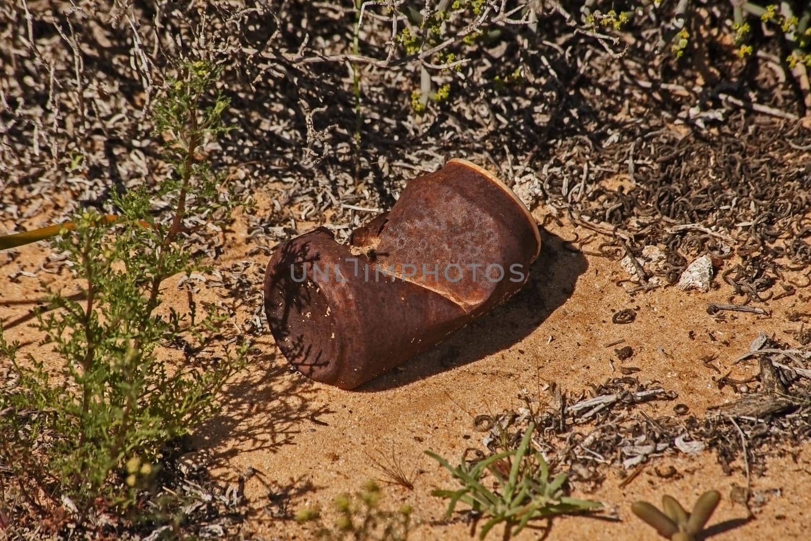 A rusty old tin can littering the Namaqua National Park. South Africa.