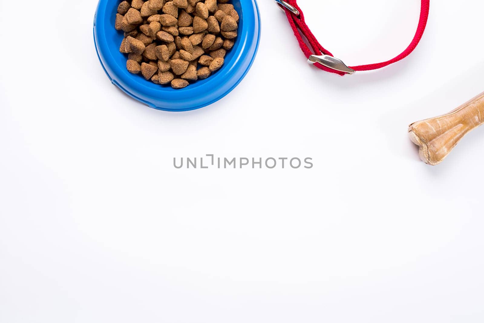 Collar, blue bowl with feed, leash and delicacy for dogs. Isolated on white background. Top view. Still life. Copy space