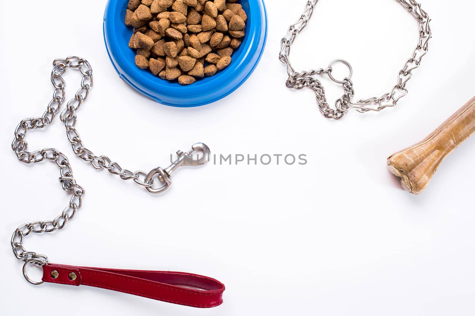 Collar, blue bowl with feed, leash and delicacy for dogs. Isolated on white background by nazarovsergey