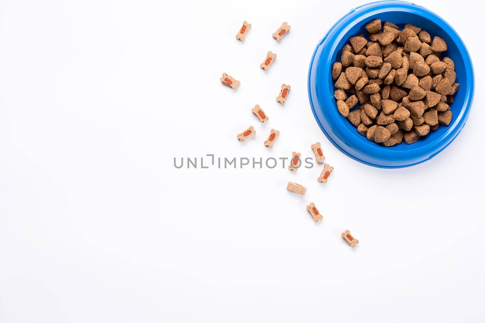 dry pet food in bowl on white background top view. Still life. Copy space