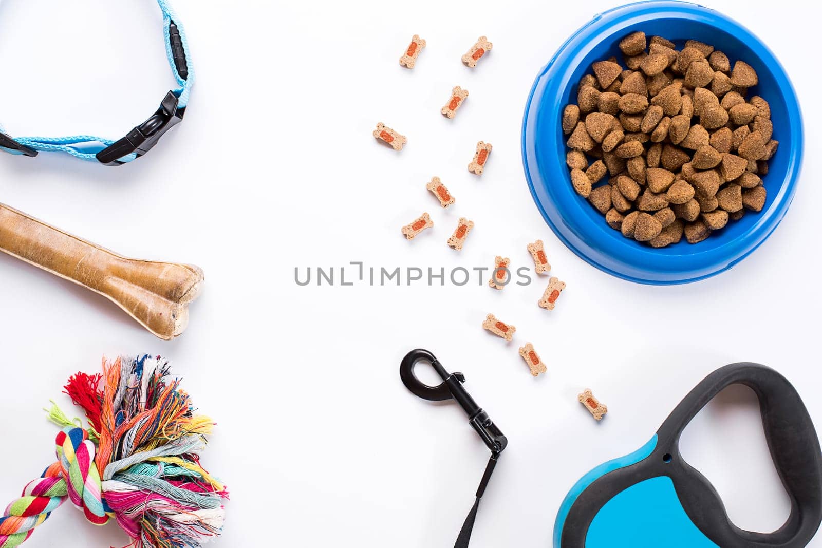 Collar, blue bowl with feed, leash and delicacy for dogs. Isolated on white background. Top view. Still life. Copy space