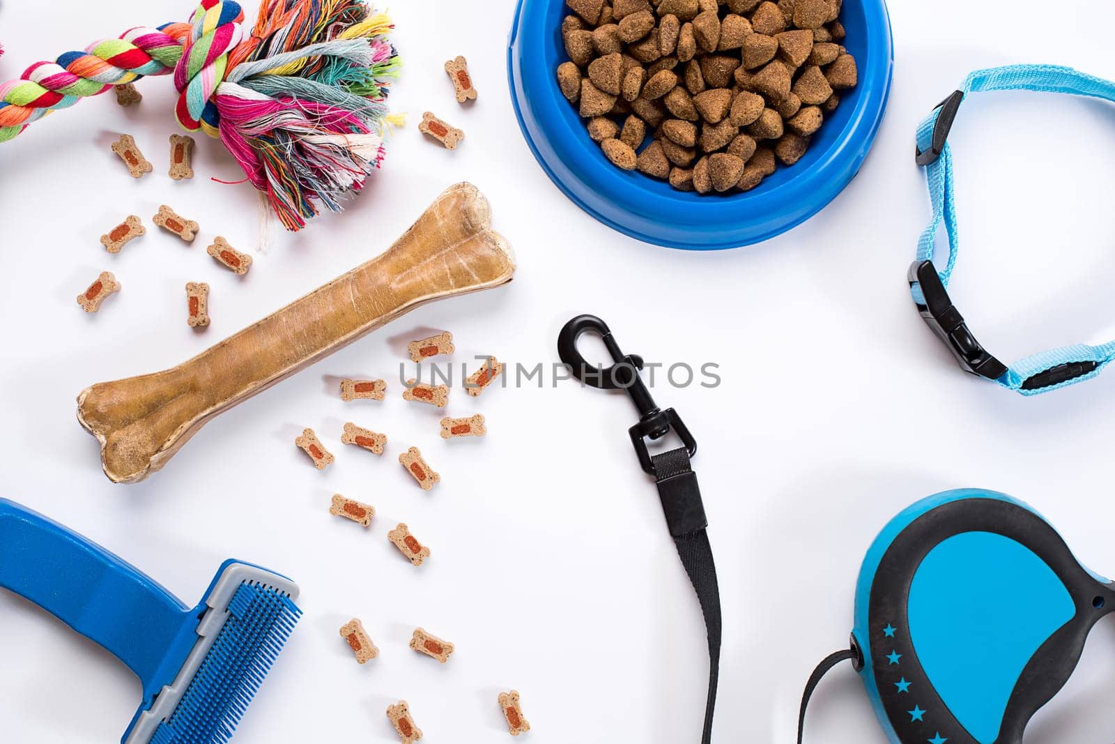 Collar, blue bowl with feed, leash and delicacy for dogs. Isolated on white background. Top view. Still life. Copy space
