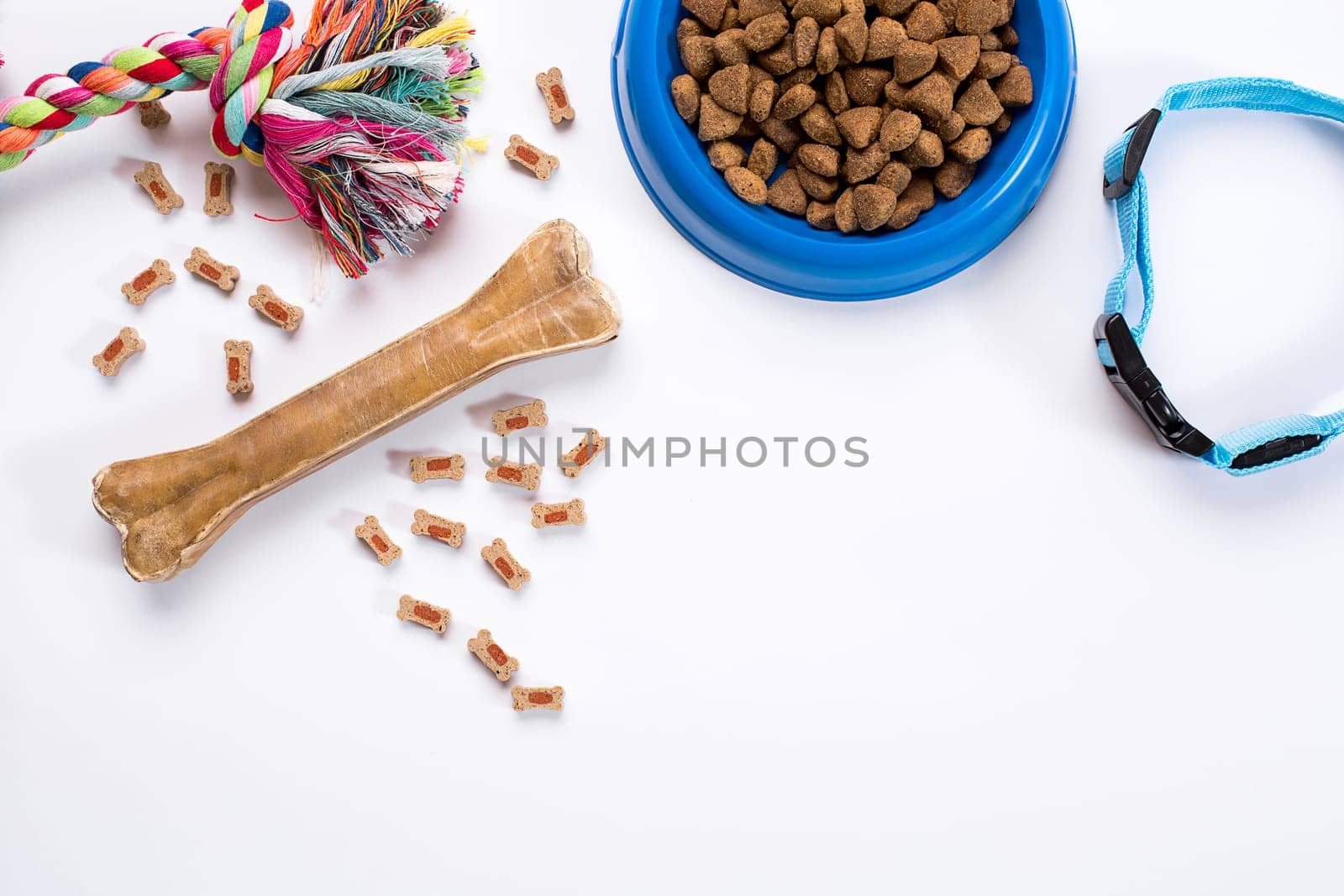 Collar, blue bowl with feed, leash and delicacy for dogs. Isolated on white background. Top view. Still life. Copy space