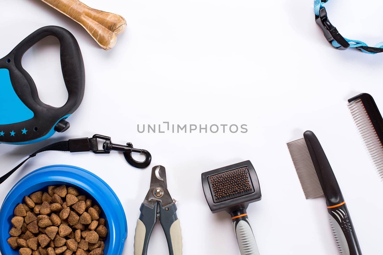 Collar, blue bowl with feed, leash, delicacy, combs and brushes for dogs. Isolated on white background. Top view. Still life. Copy space