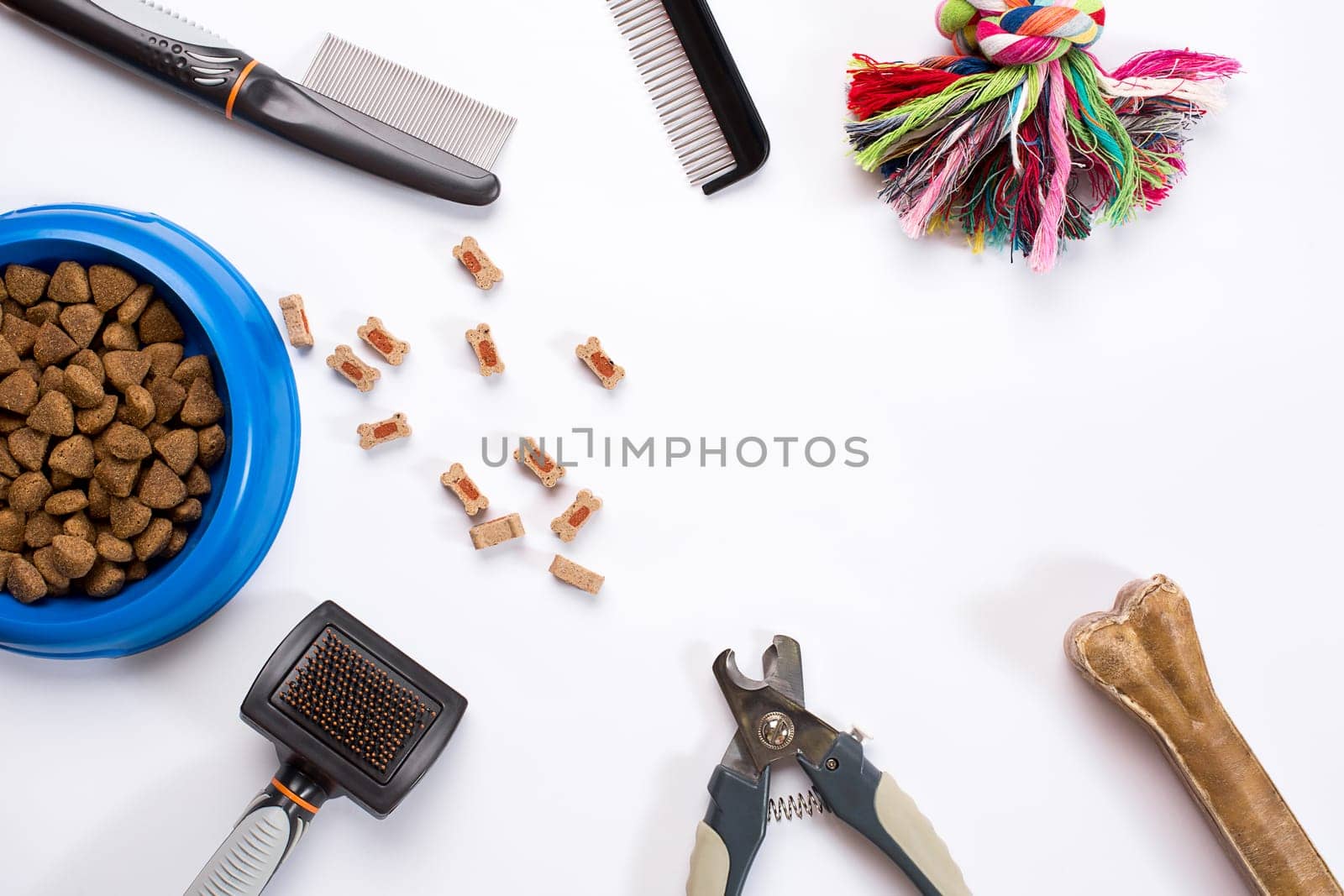 Collar, blue bowl with feed, leash, delicacy, combs and brushes for dogs. Isolated on white background. Top view. Still life. Copy space