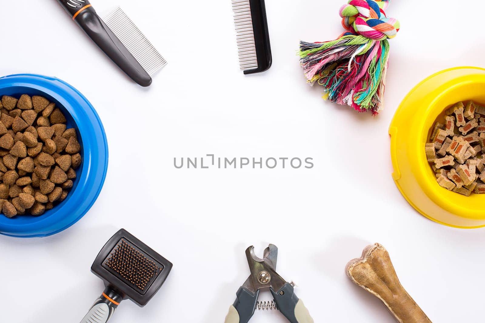 Collar, blue bowl with feed, leash, delicacy, combs and brushes for dogs. Isolated on white background. Top view. Still life. Copy space