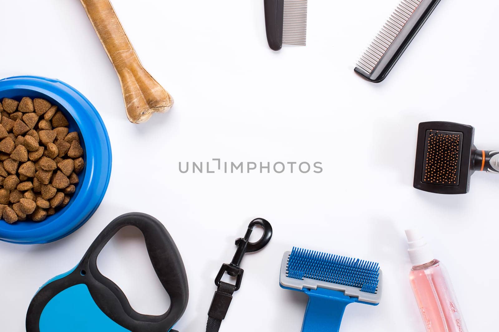Collar, blue bowl with feed, leash, delicacy, combs and brushes for dogs. Isolated on white background. Top view. Still life. Copy space