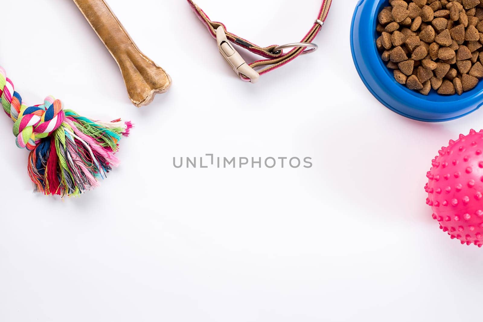 Collar, blue bowl with feed, leash and delicacy for dogs. Isolated on white background. Top view. Still life. Copy space