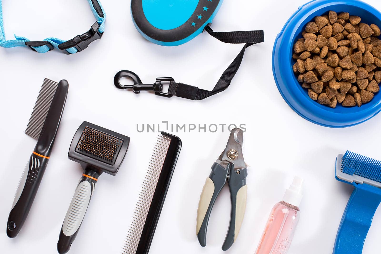 Collar, blue bowl with feed, leash, delicacy, combs and brushes for dogs. Isolated on white background. Top view. Still life. Copy space