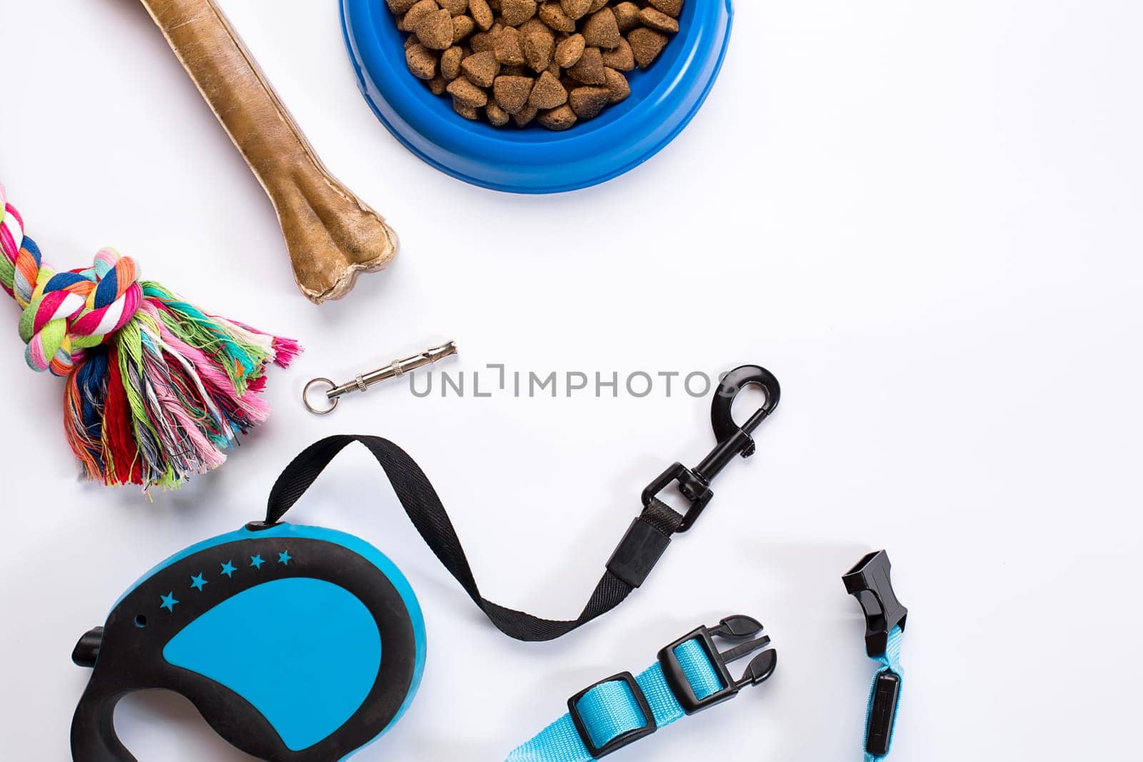 Collar, blue bowl with feed, leash and delicacy for dogs. Isolated on white background. Top view. Still life. Copy space