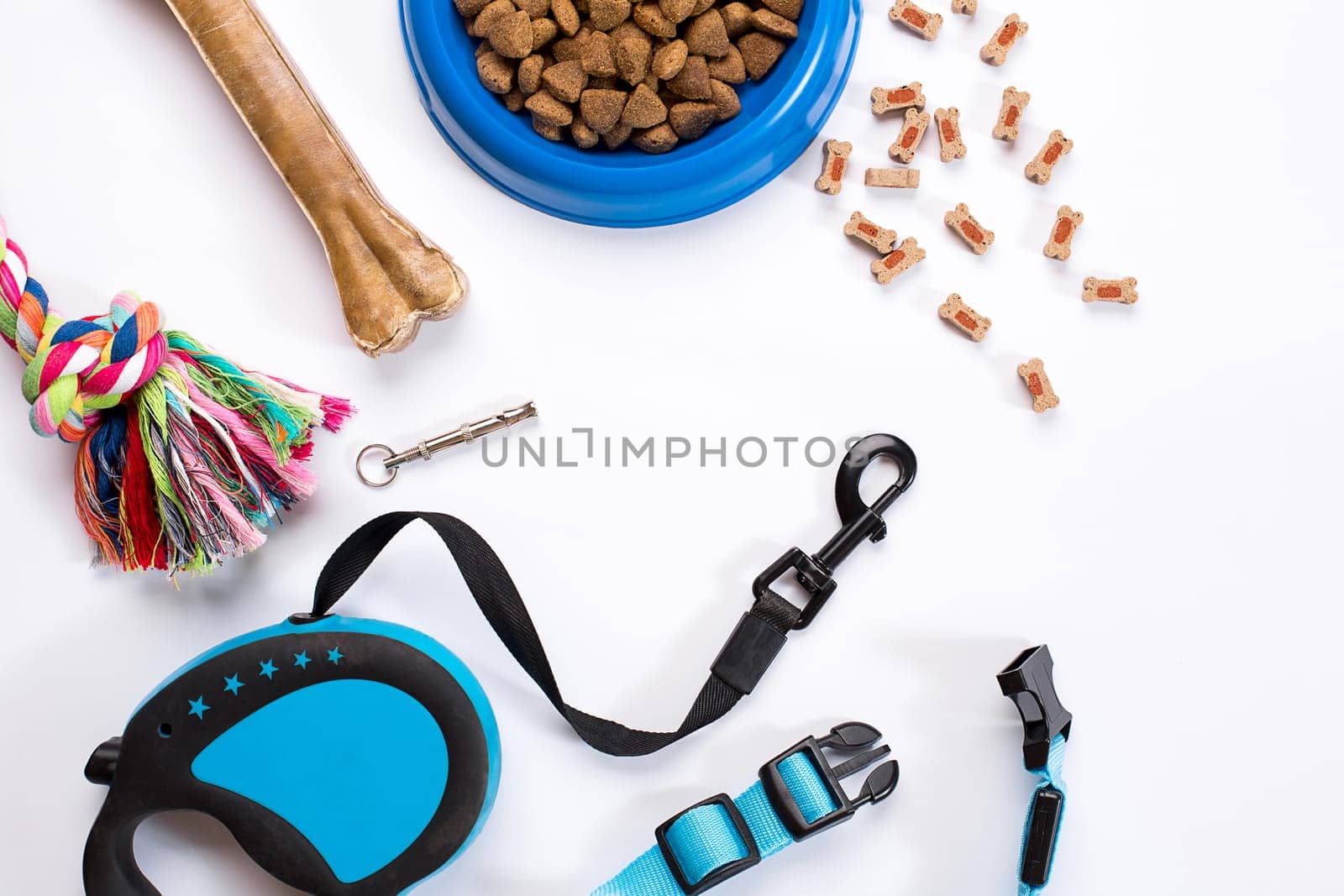 Collar, blue bowl with feed, leash and delicacy for dogs. Isolated on white background. Top view. Still life. Copy space