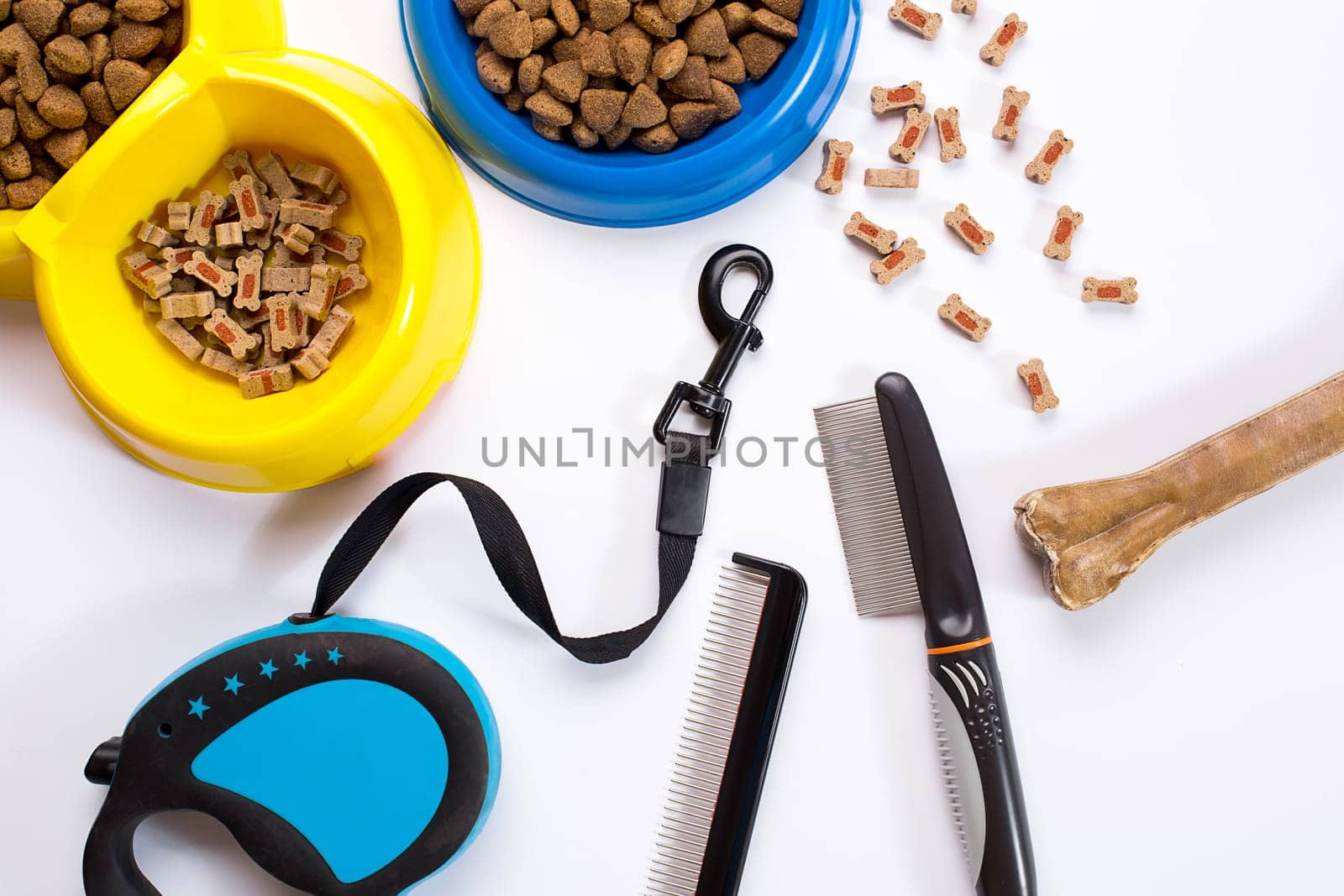 Collar, blue bowl with feed, leash, delicacy, combs and brushes for dogs. Isolated on white background. Top view. Still life. Copy space