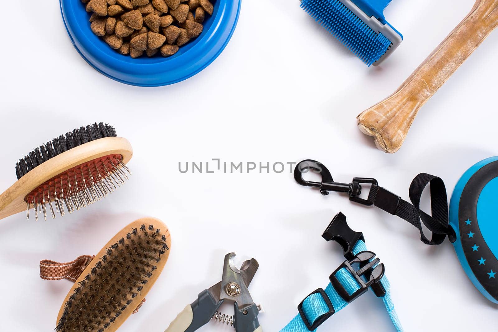 Collar, bowl with feed, leash, delicacy, combs and brushes for dogs. Isolated on white background. Top view. Still life. Copy space