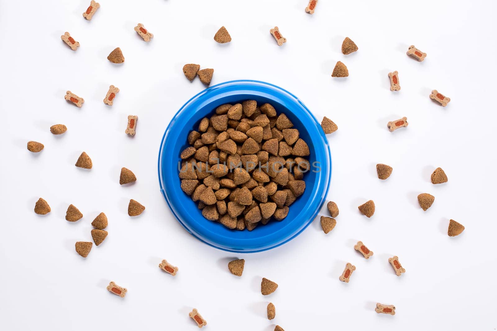 dry pet food in bowl on white background top view. Still life. Copy space