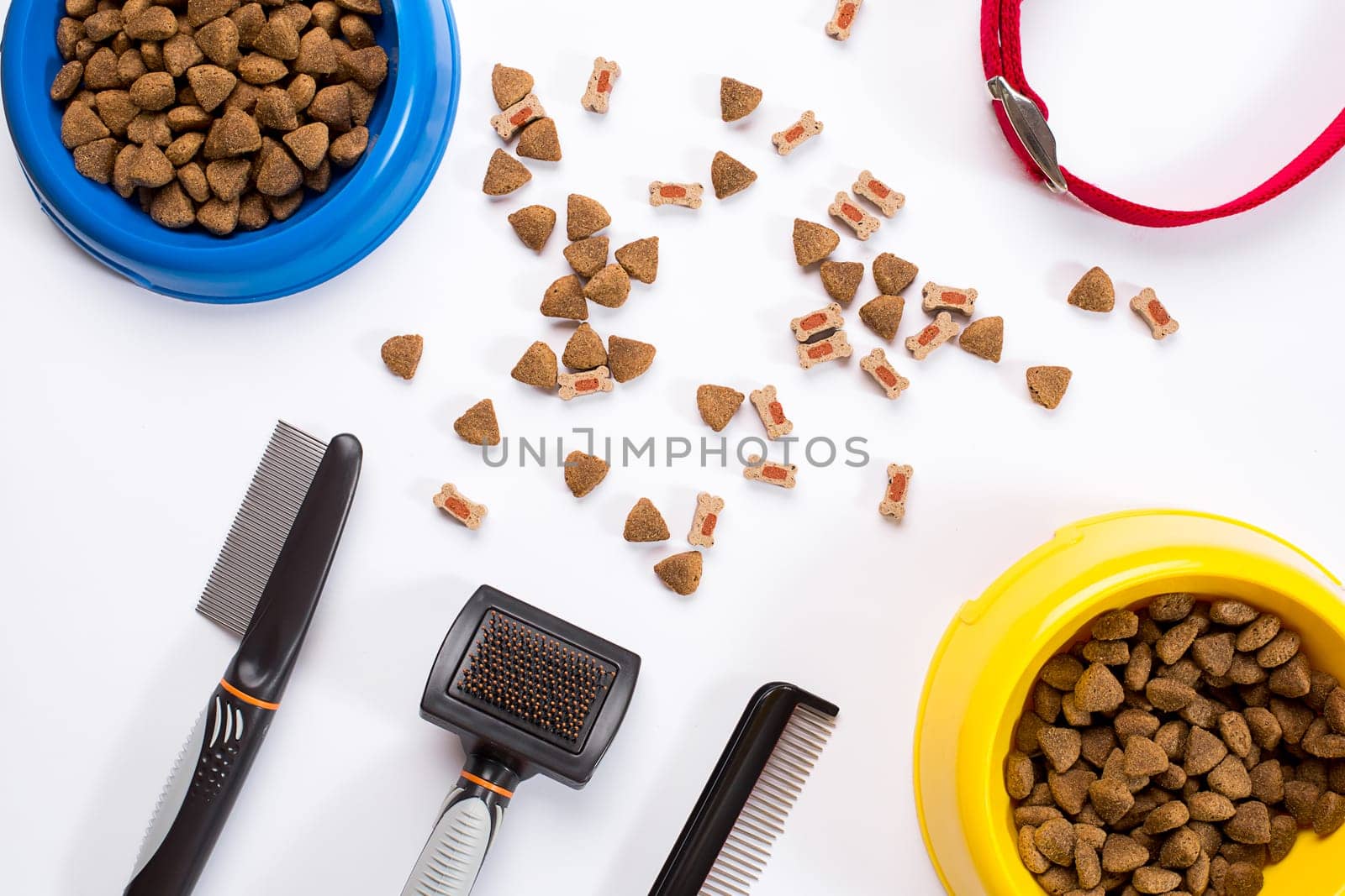 Collar, bowl with feed, leash, delicacy, combs and brushes for dogs. Isolated on white background. Top view. Still life. Copy space